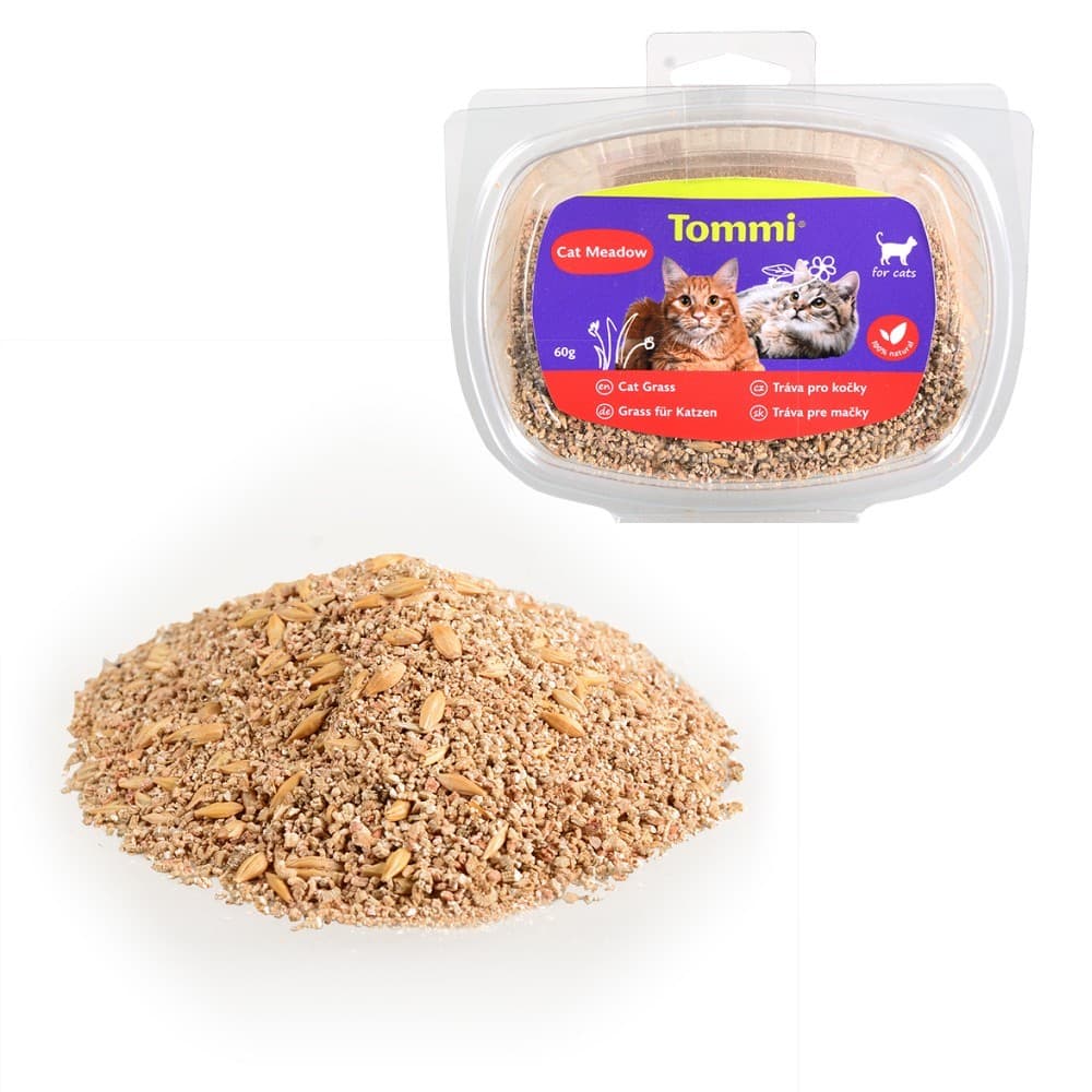 Tommi - tráva pro kočky pro zlepšení zažívacího traktu, 60g