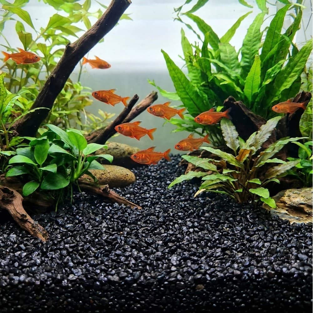 Akvarijní a terarijní štěrk černý 2 kg DECO - náhled 3