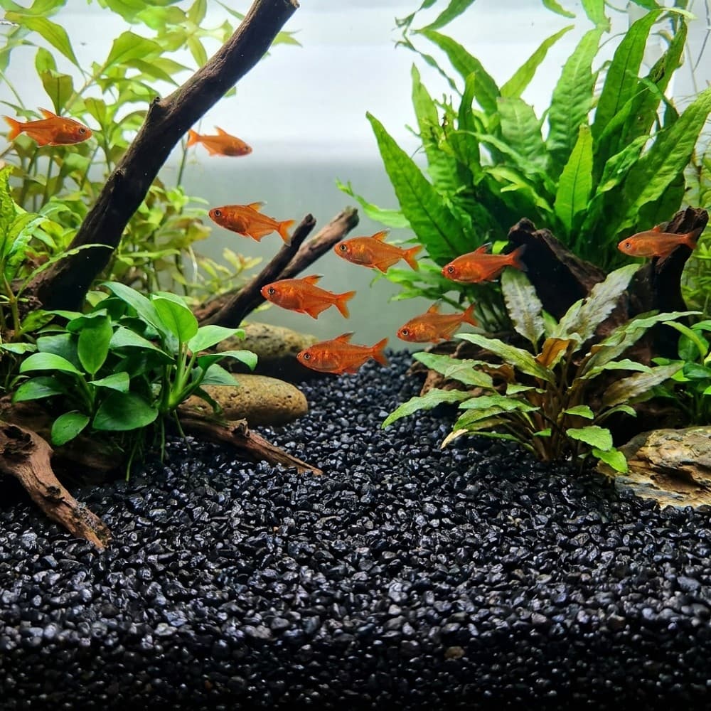 Akvarijní a terarijní štěrk černý 5 kg DECO - náhled 3