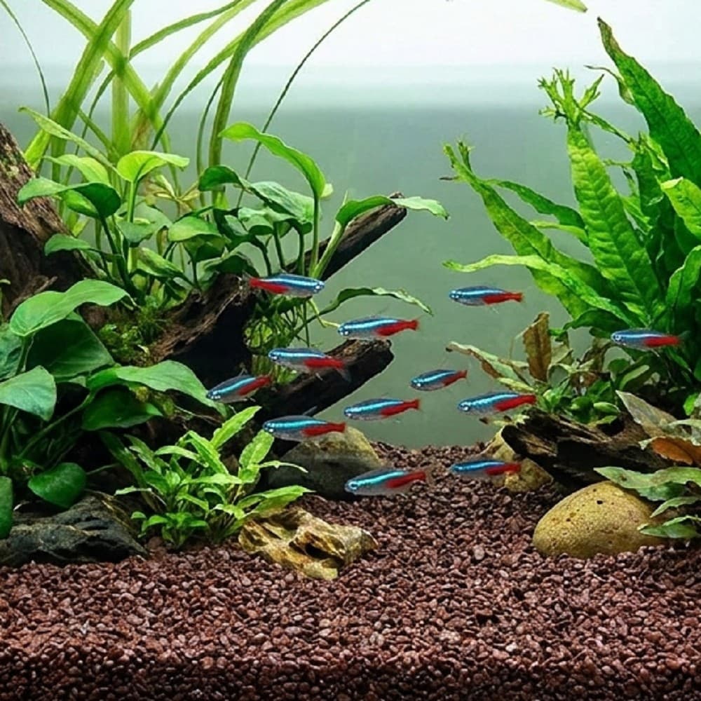 Akvarijní a terarijní štěrk tmavě hnědý 2 kg DECO - náhled 3