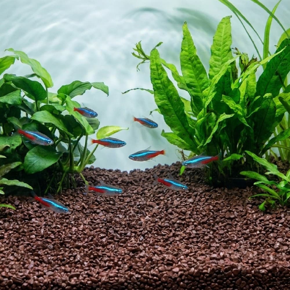 Akvarijní a terarijní štěrk tmavě hnědý 2 kg DECO - náhled 2