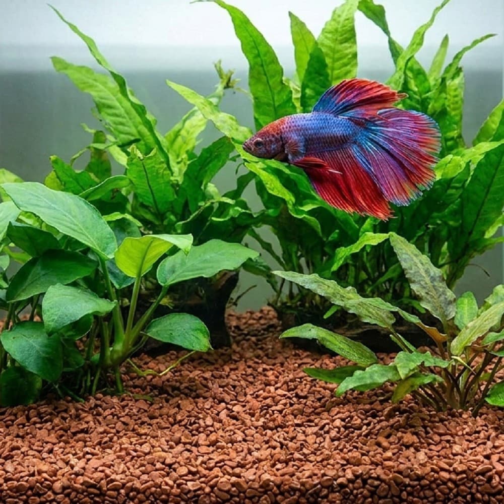 Akvarijní a terarijní štěrk hnědý 5 kg DECO - náhled 3