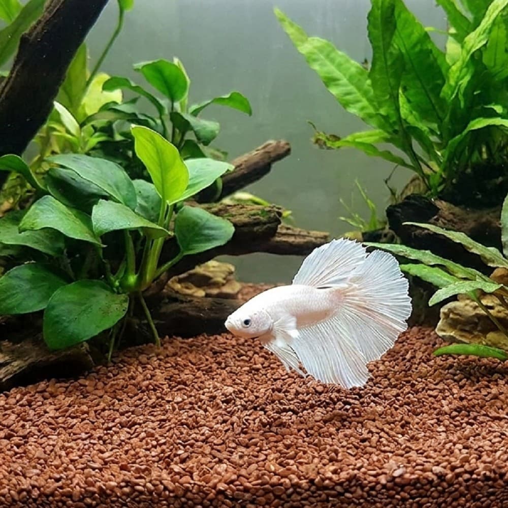 Akvarijní a terarijní štěrk hnědý 5 kg DECO - náhled 2