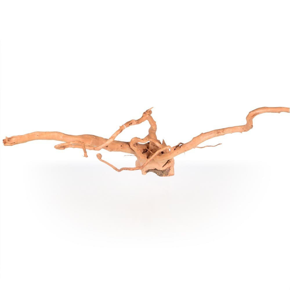 Spider Wood XL, 50-60cm - náhled 3