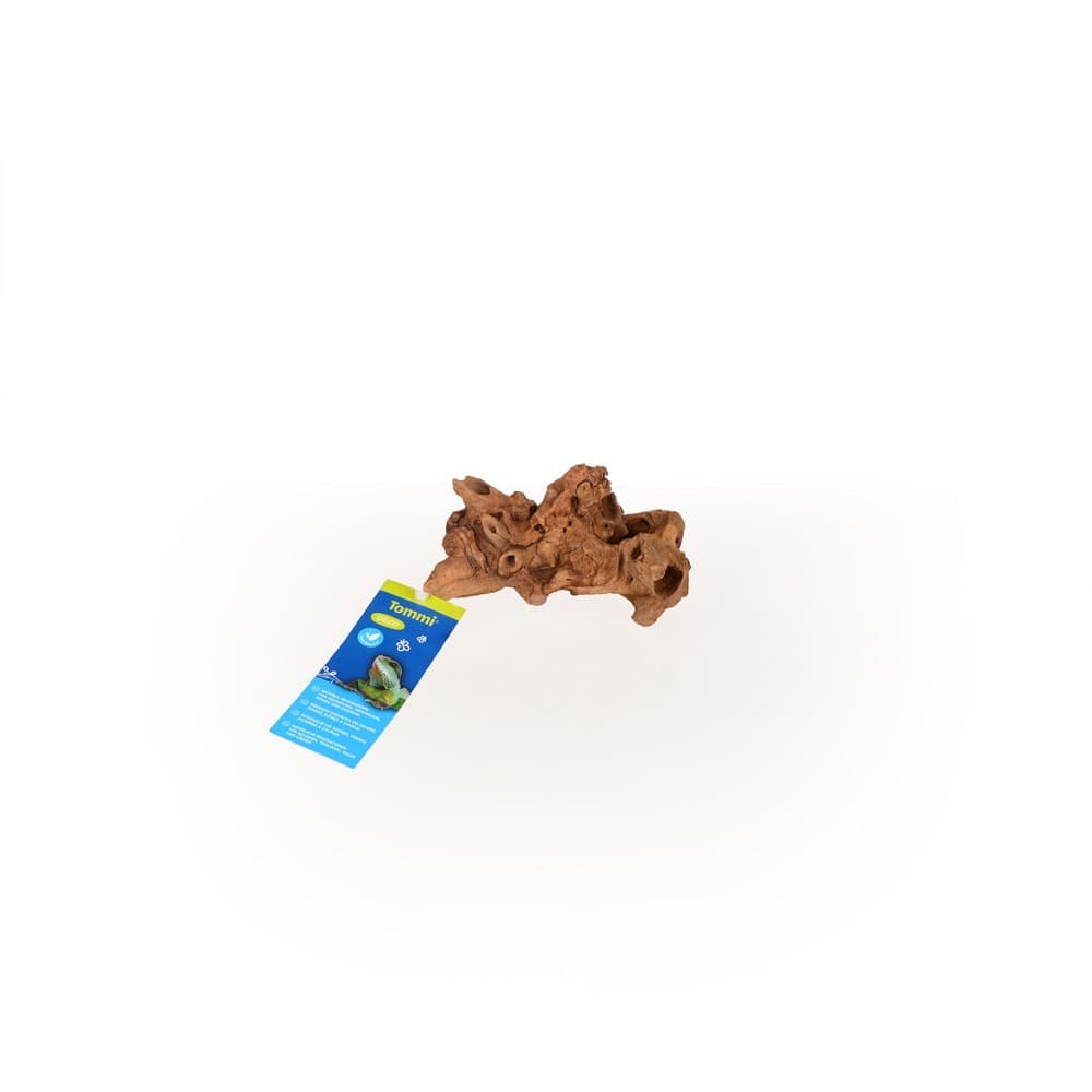 Coral Driftwood XS, 10-20cm