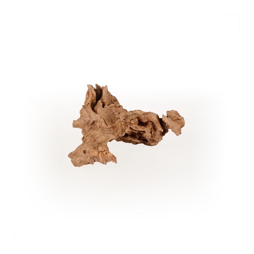 Coral Driftwood S, 20-30cm - náhled 3