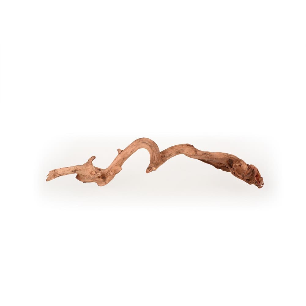 Coral Driftwood S, 20-30cm - náhled 2