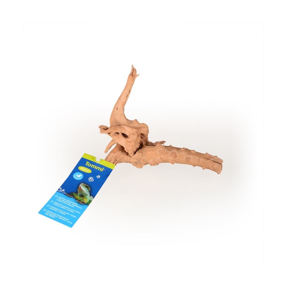 Azalea Root XS