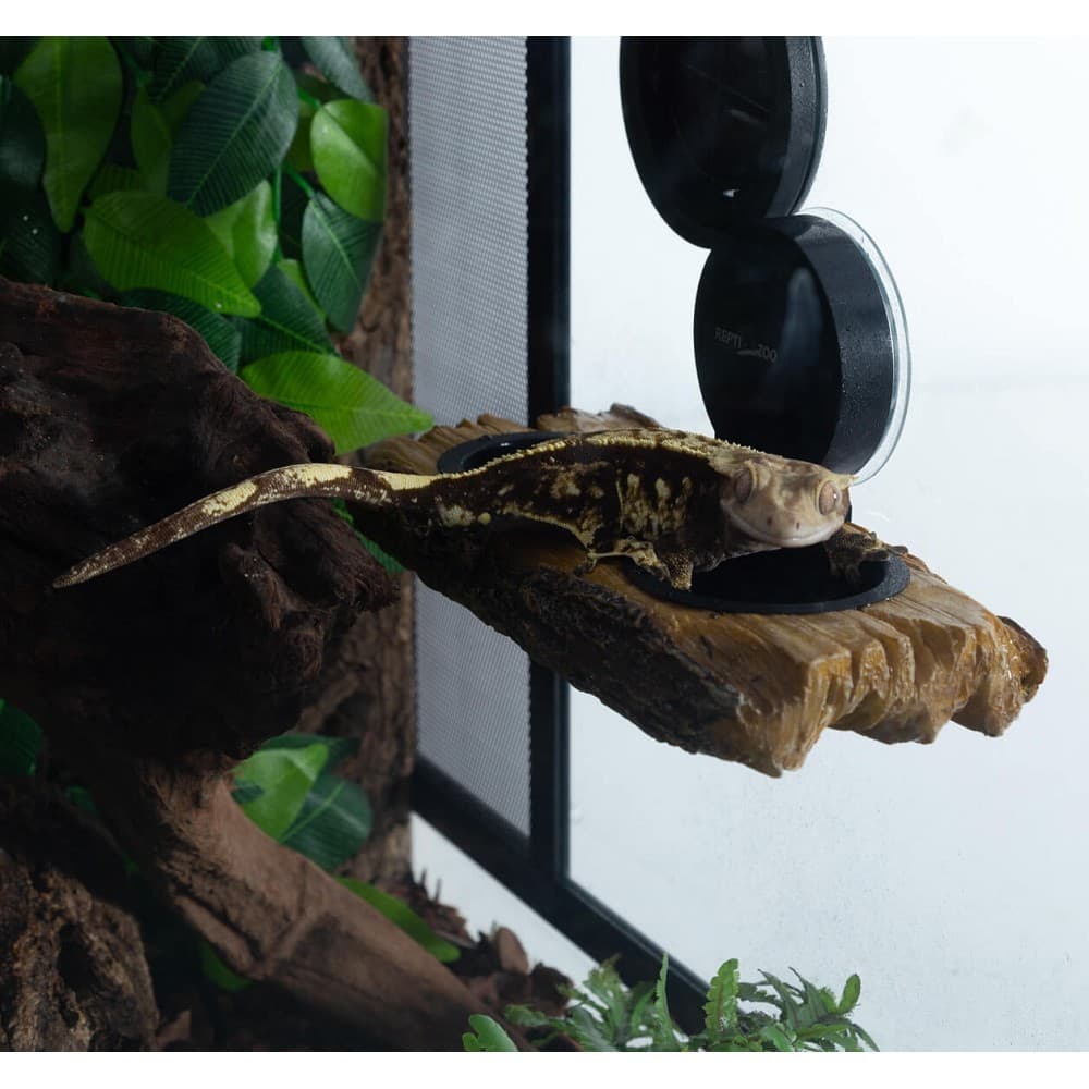 ReptiZoo Rampa pro želvy a stromové krmítko 2v1 - náhled 3