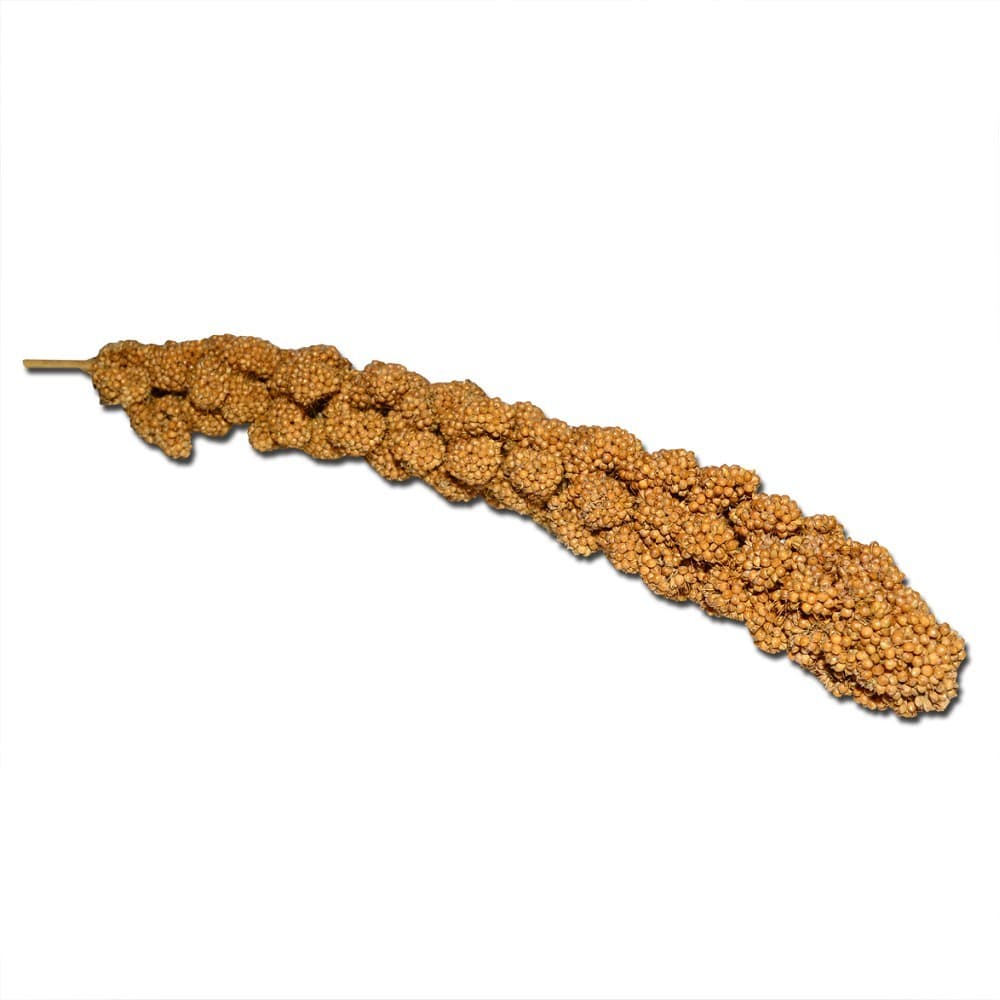 Senegalské proso žluté, 200g - náhled 3